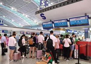 机票退改签新规 阶梯费率护航公平，严禁额外加收费用保障旅客权益